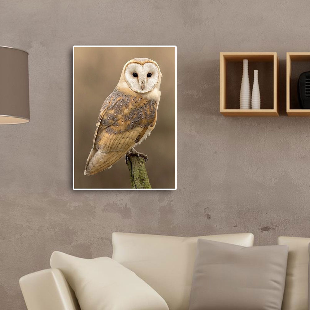 Owl - Full Round Drill Diamond Painting 30*40CM