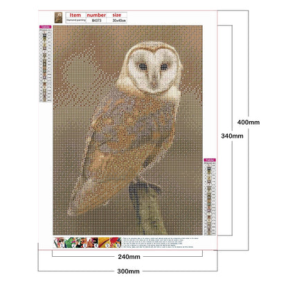 Owl - Full Round Drill Diamond Painting 30*40CM