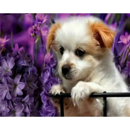 Dog - Full Round Drill Diamond Painting 40*30CM