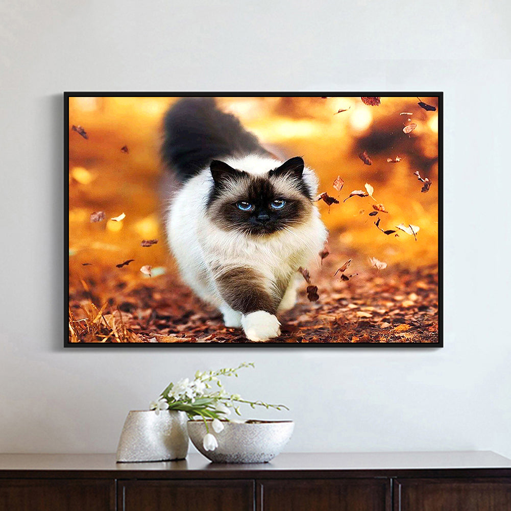 Walking Cat - Full Square Drill Diamond Painting 30*40CM