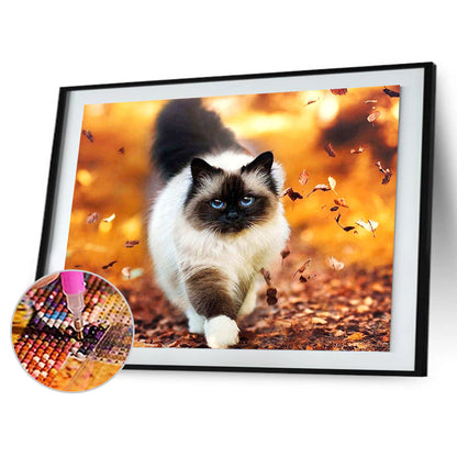 Walking Cat - Full Square Drill Diamond Painting 30*40CM