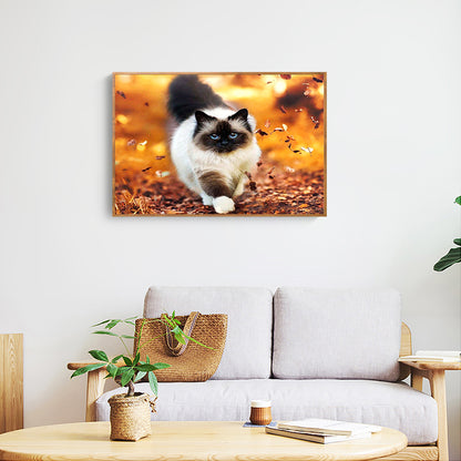 Walking Cat - Full Square Drill Diamond Painting 30*40CM