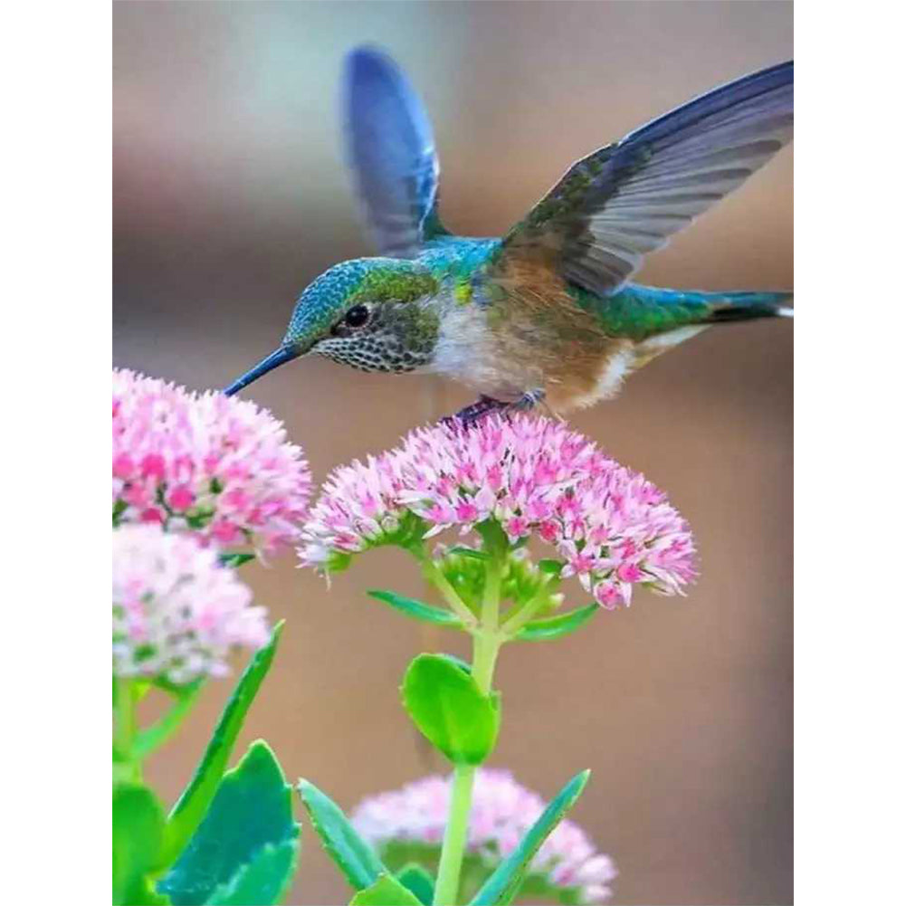 Flowers And Hummingbirds - Full Square Drill Diamond Painting 30X40CM