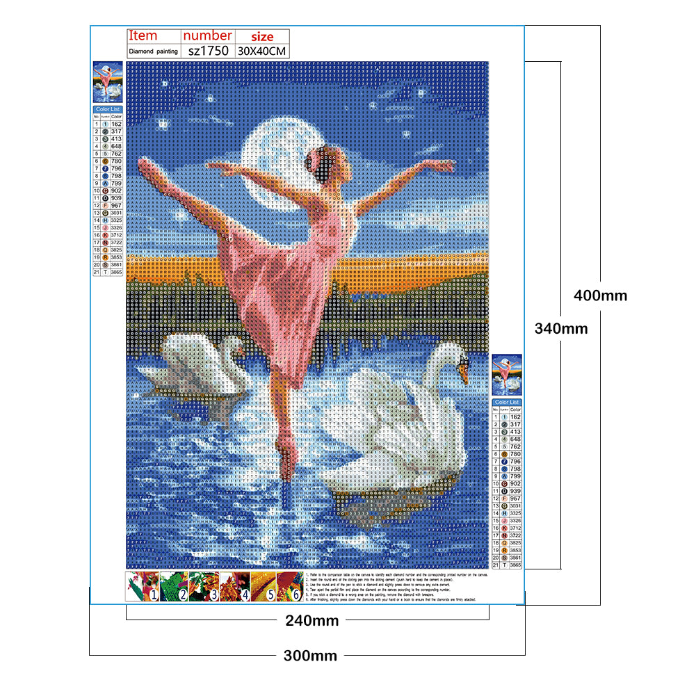 Ballet Girl - Full Round Drill Diamond Painting 30*40CM