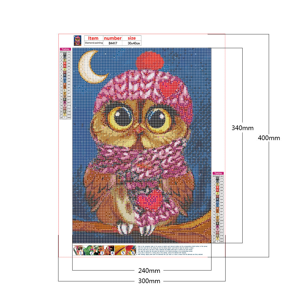 Owl - Full Round Drill Diamond Painting 30*40CM