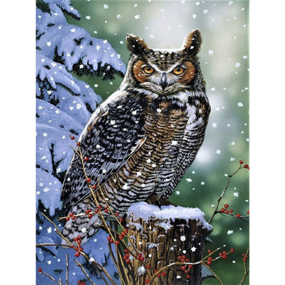 Owl - Full Round Drill Diamond Painting 30*40CM