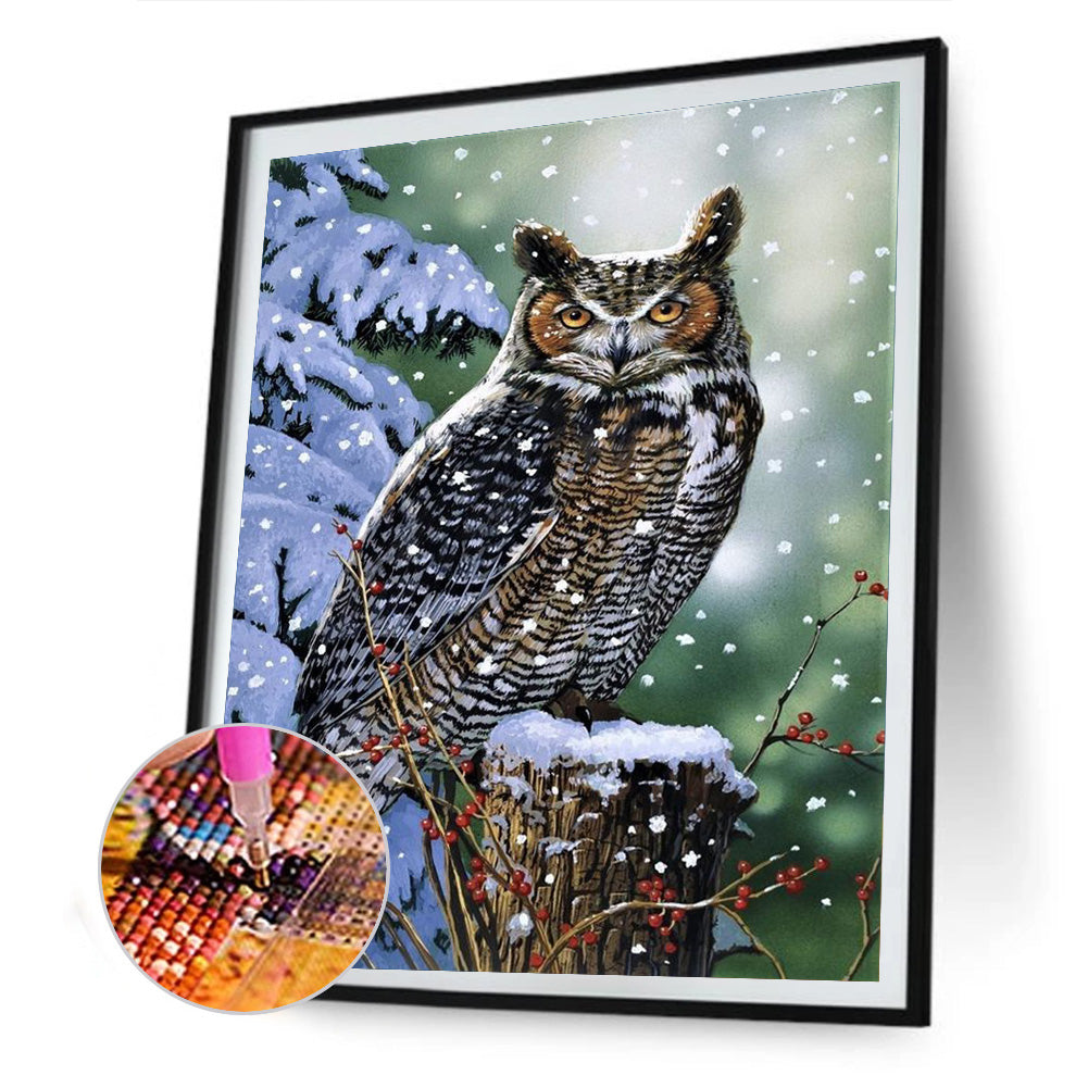 Owl - Full Round Drill Diamond Painting 30*40CM