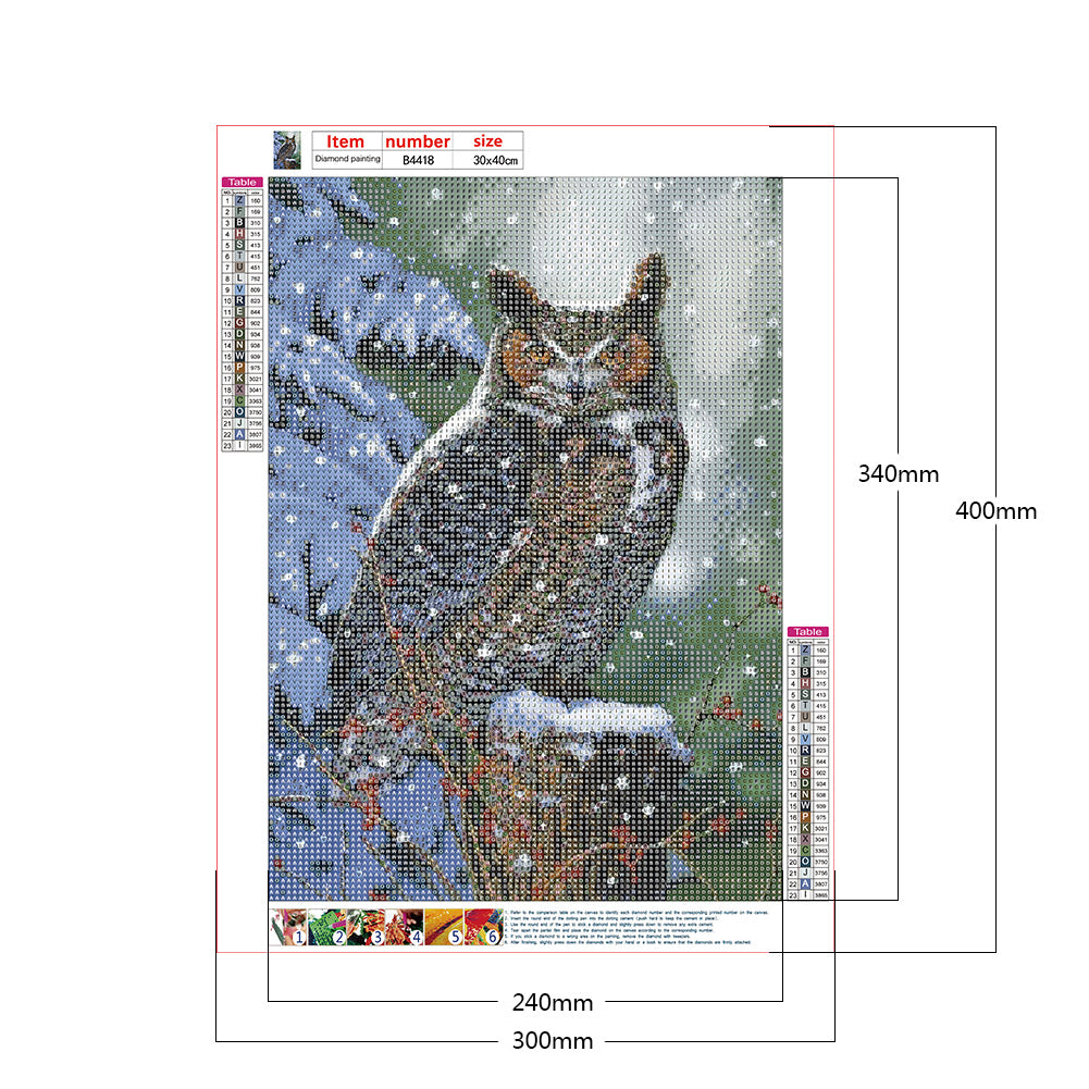 Owl - Full Round Drill Diamond Painting 30*40CM