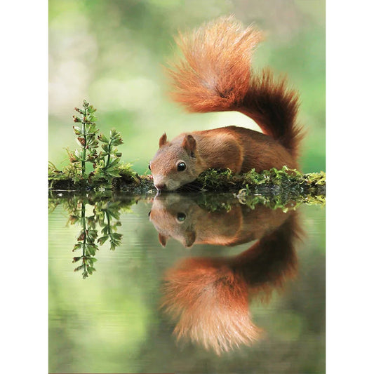 Squirrel - Full Square Drill Diamond Painting 30X40CM