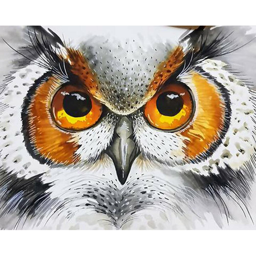 Owl - Full Square Drill Diamond Painting 30X40CM