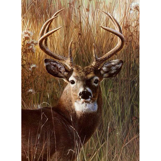 Deer Head - Full Square Drill Diamond Painting 30*40CM