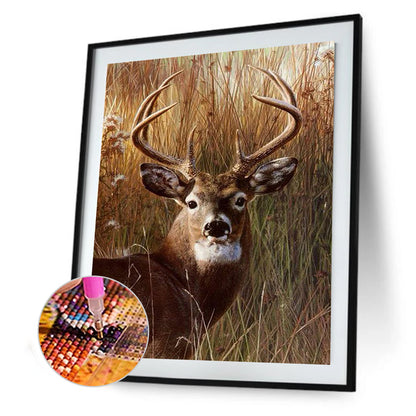 Deer Head - Full Square Drill Diamond Painting 30*40CM