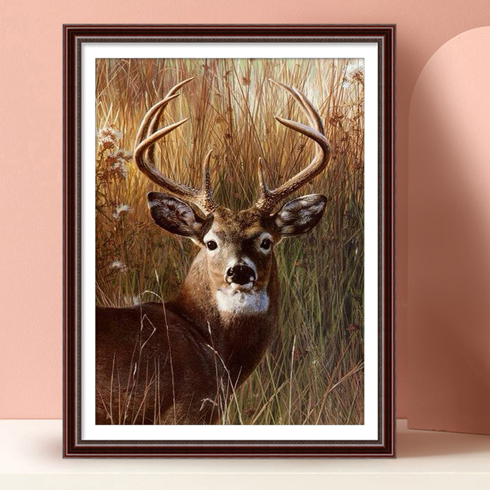 Deer Head - Full Square Drill Diamond Painting 30*40CM