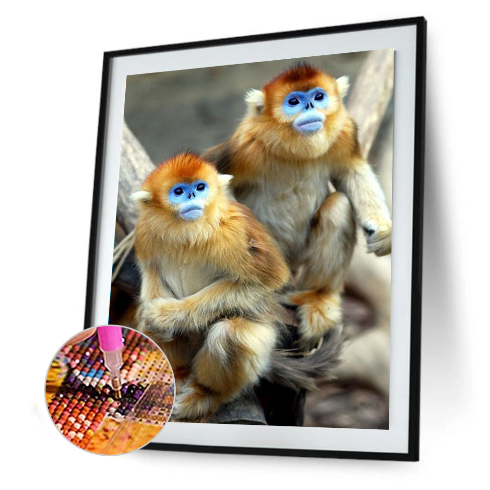 Blue Face Monkey - Full Square Drill Diamond Painting 30*40CM