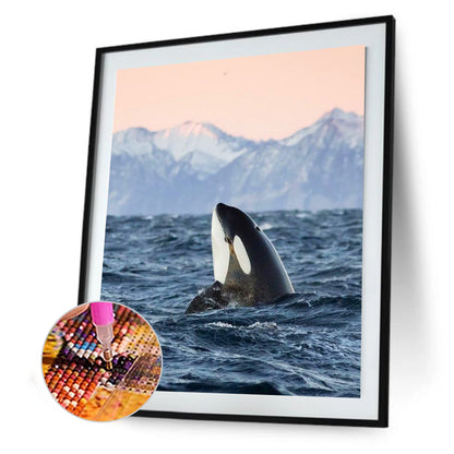 Vivid Dolphin - Full Square Drill Diamond Painting 30*40CM