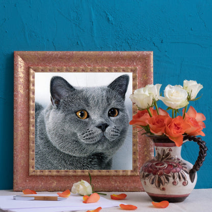 Cat - Full Round Drill Diamond Painting 30*30CM