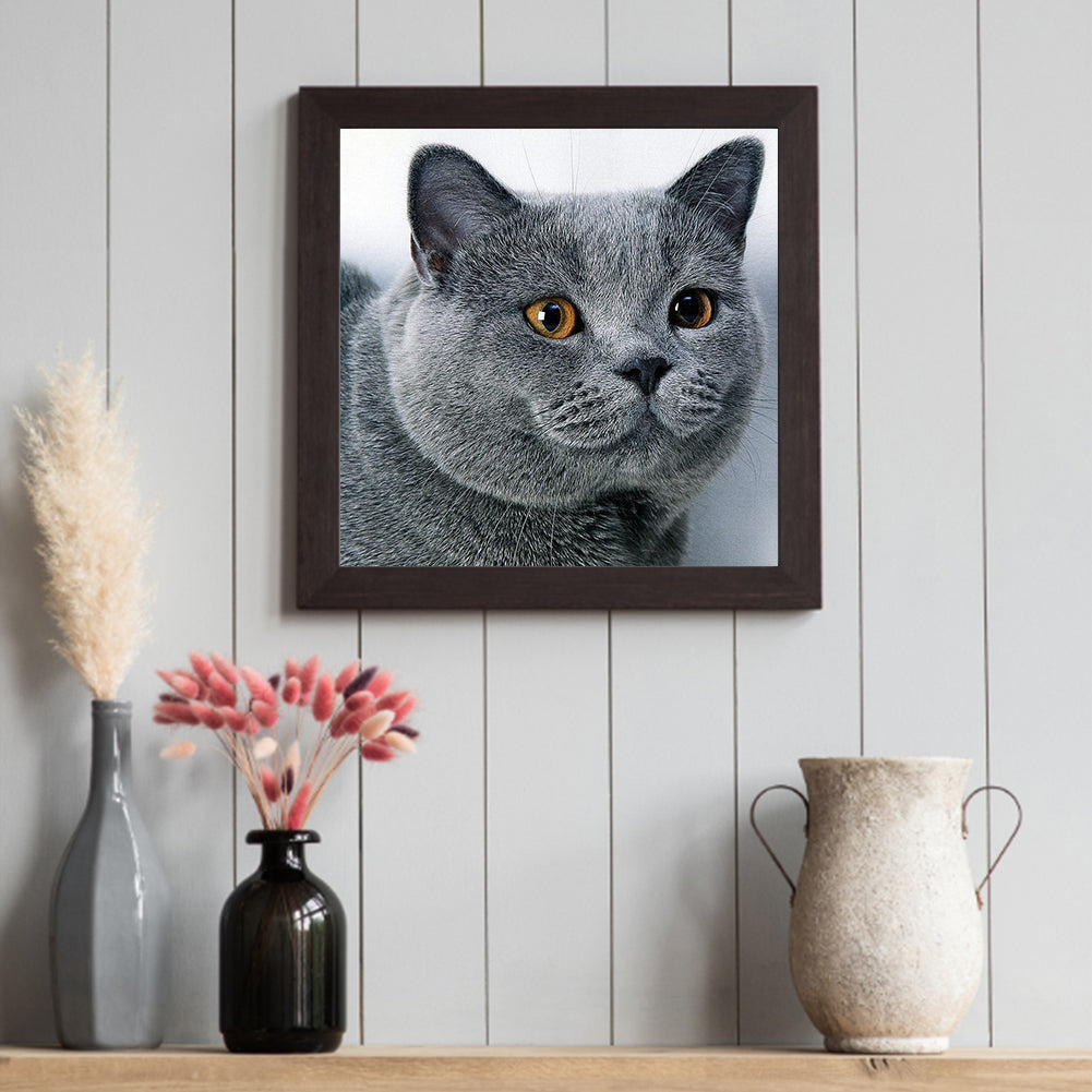 Cat - Full Round Drill Diamond Painting 30*30CM