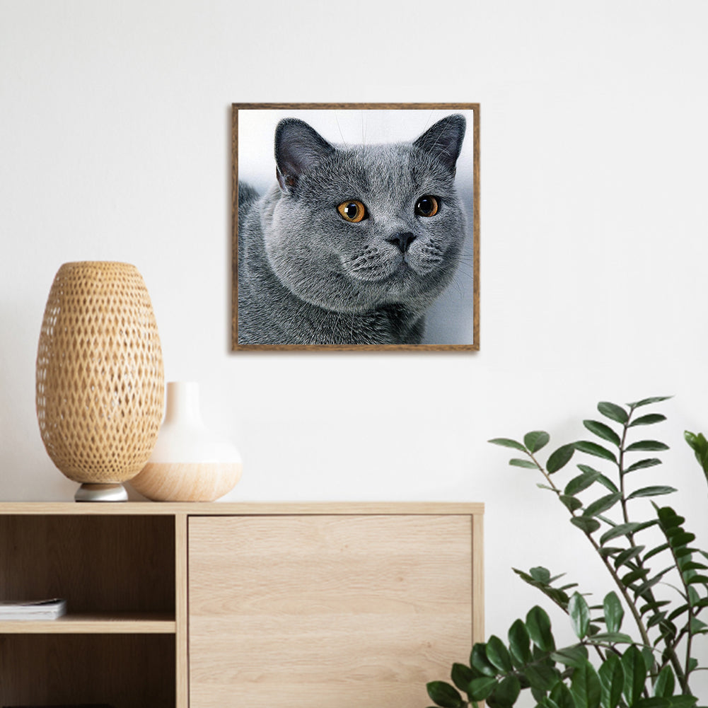 Cat - Full Round Drill Diamond Painting 30*30CM