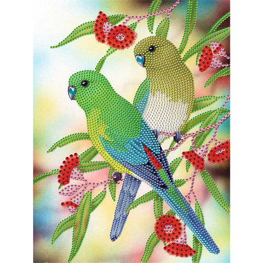 Birds - Special Shaped Drill Diamond Paiting 30*40CM