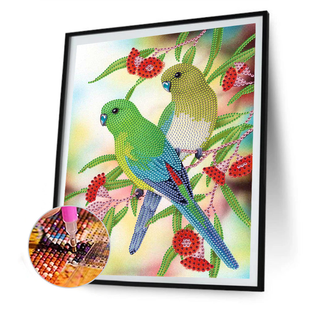 Birds - Special Shaped Drill Diamond Paiting 30*40CM
