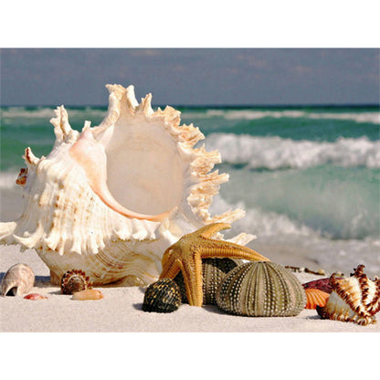 Sea ??Shells - Full Round Drill Diamond Painting 40*30CM
