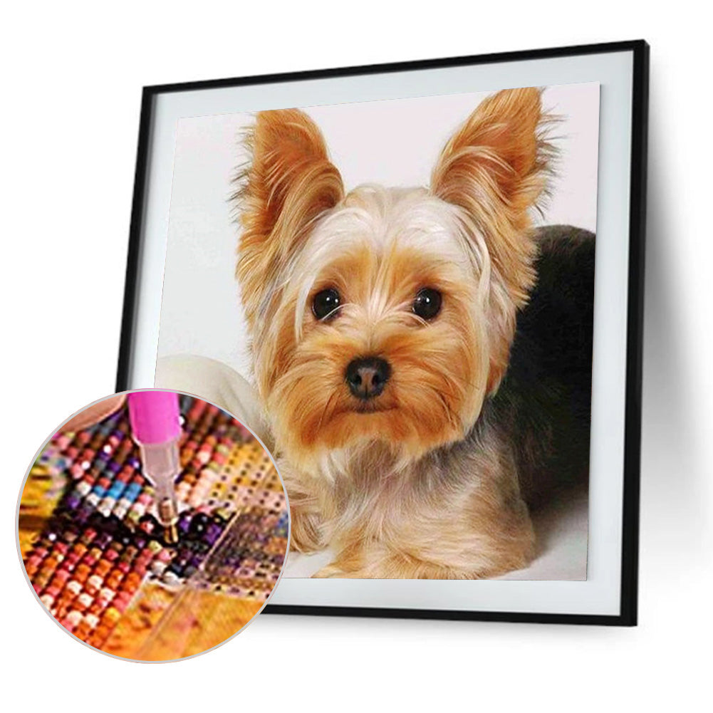 Puppy - Full Square Drill Diamond Painting 40*40CM