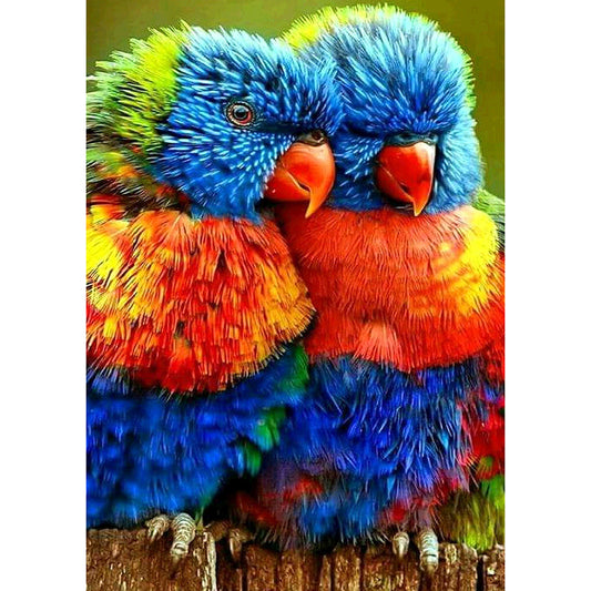 Two Parrots - Full Square Drill Diamond Painting 30*40CM