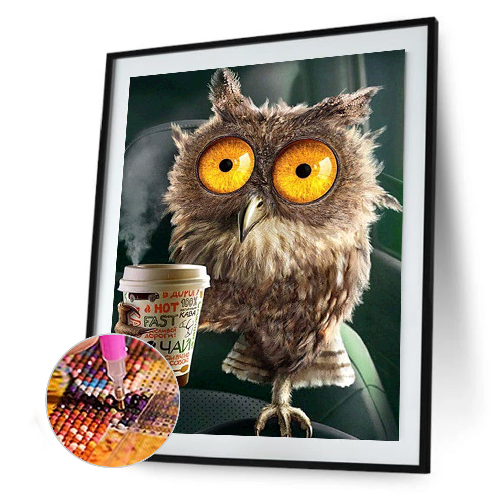 Big Eyed Owl - Full Square Drill Diamond Painting 30*40CM