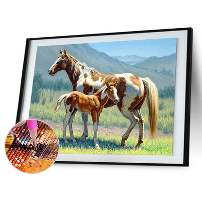 Horse - Full Square Drill Diamond Painting 30*40CM