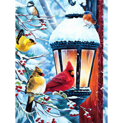 Bird - Full Square Drill Diamond Painting 30*40CM