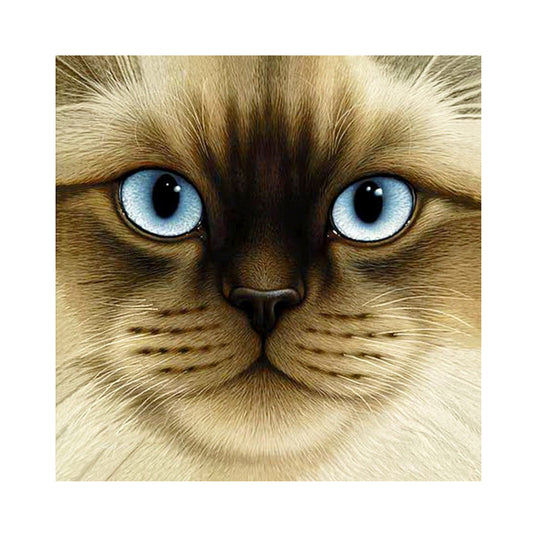 Big Face Cat - Full Round Drill Diamond Painting 30*30CM