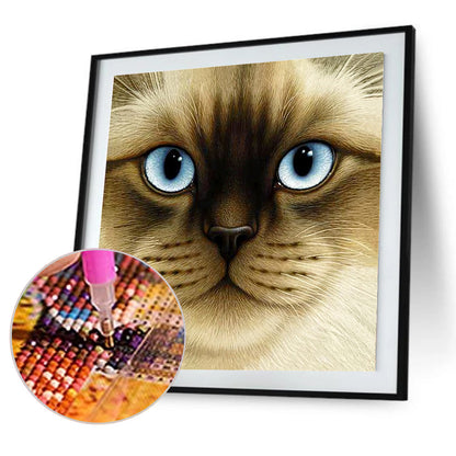 Big Face Cat - Full Round Drill Diamond Painting 30*30CM