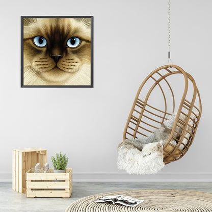 Big Face Cat - Full Round Drill Diamond Painting 30*30CM