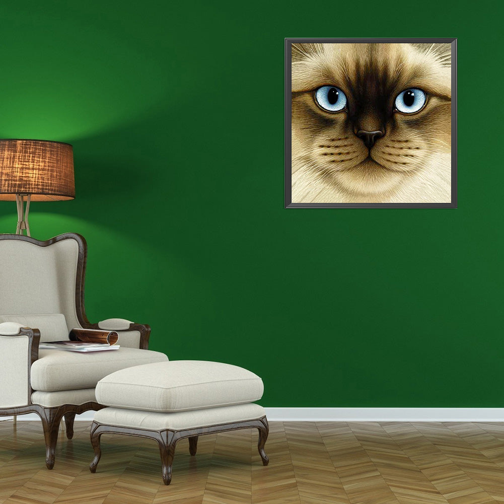 Big Face Cat - Full Round Drill Diamond Painting 30*30CM