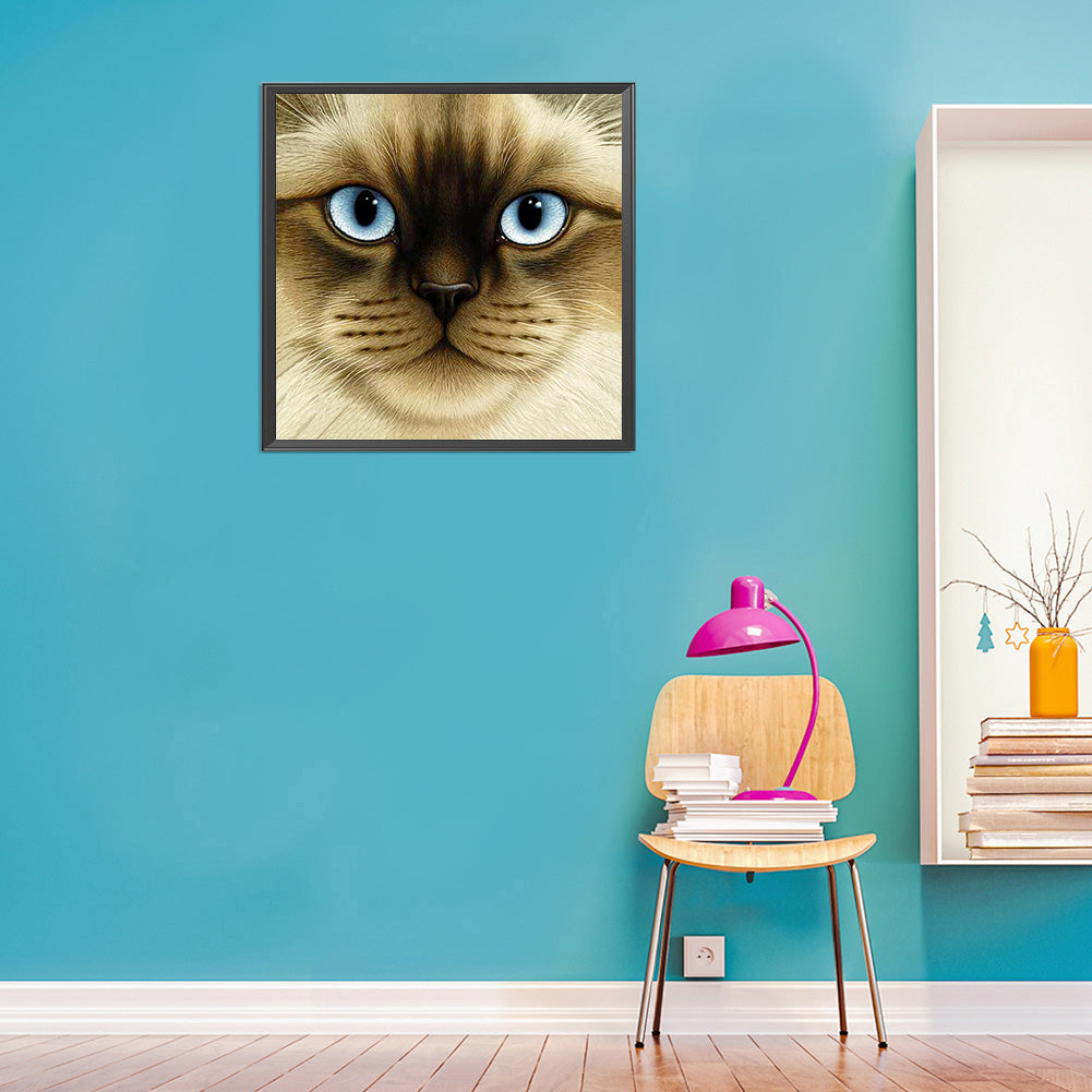 Big Face Cat - Full Round Drill Diamond Painting 30*30CM