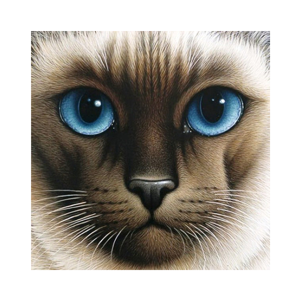 Big Face Cat - Full Round Drill Diamond Painting 30*30CM