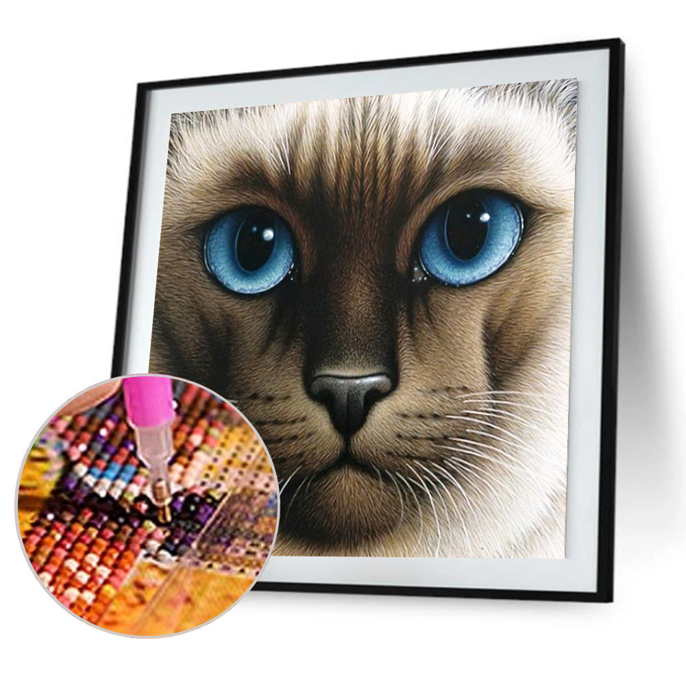 Big Face Cat - Full Round Drill Diamond Painting 30*30CM