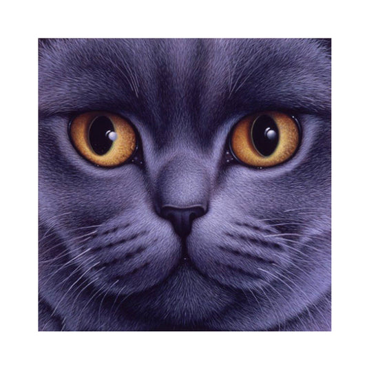 Big Face Cat - Full Round Drill Diamond Painting 30*30CM