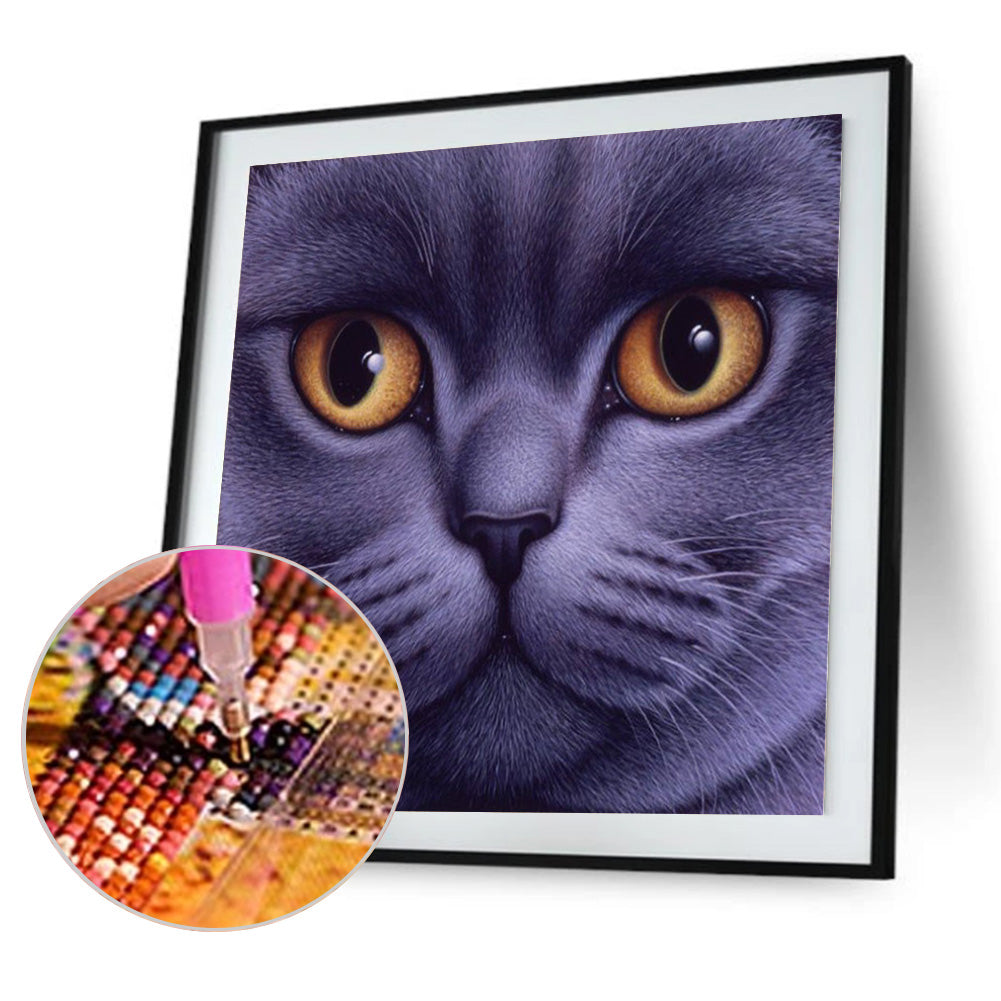 Big Face Cat - Full Round Drill Diamond Painting 30*30CM