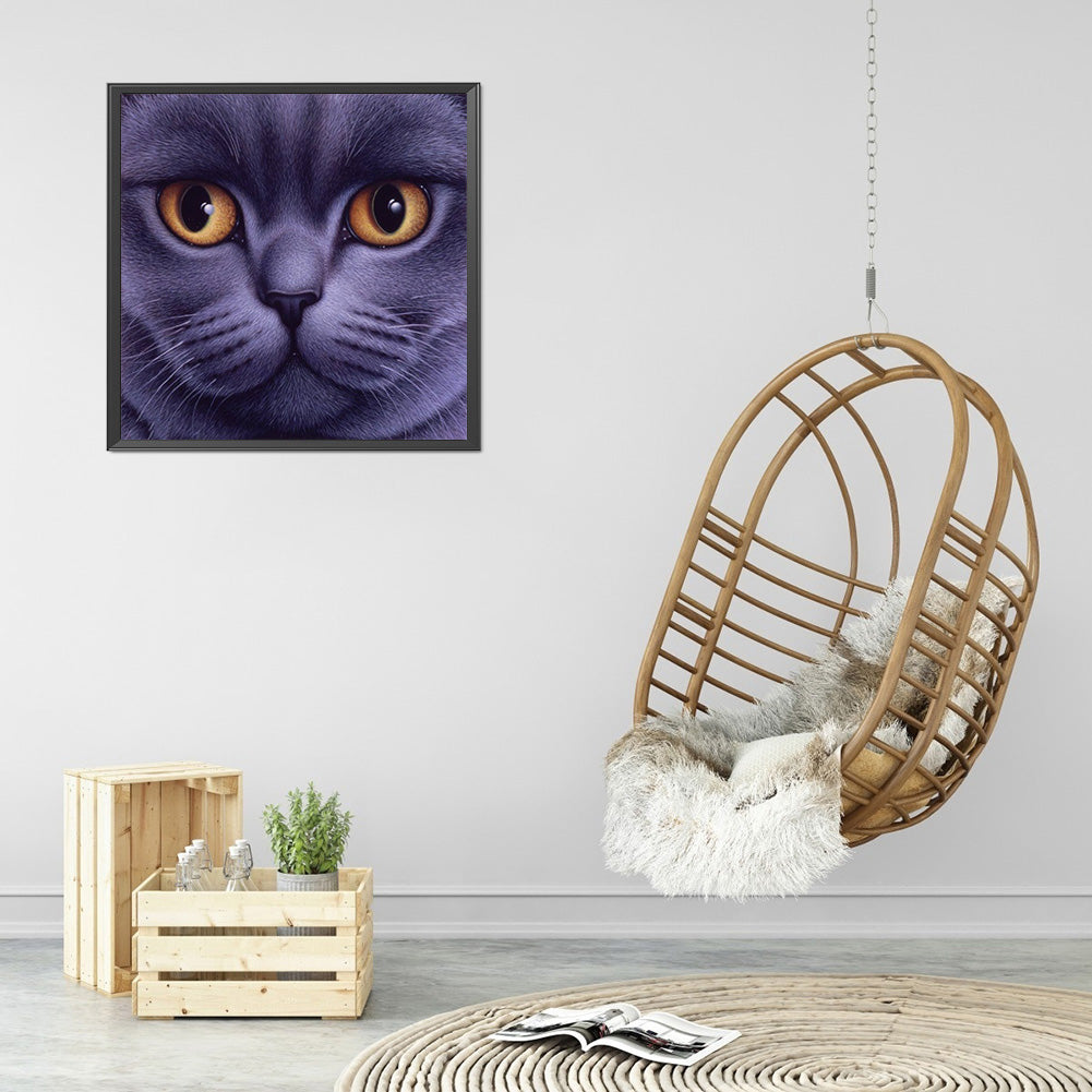 Big Face Cat - Full Round Drill Diamond Painting 30*30CM