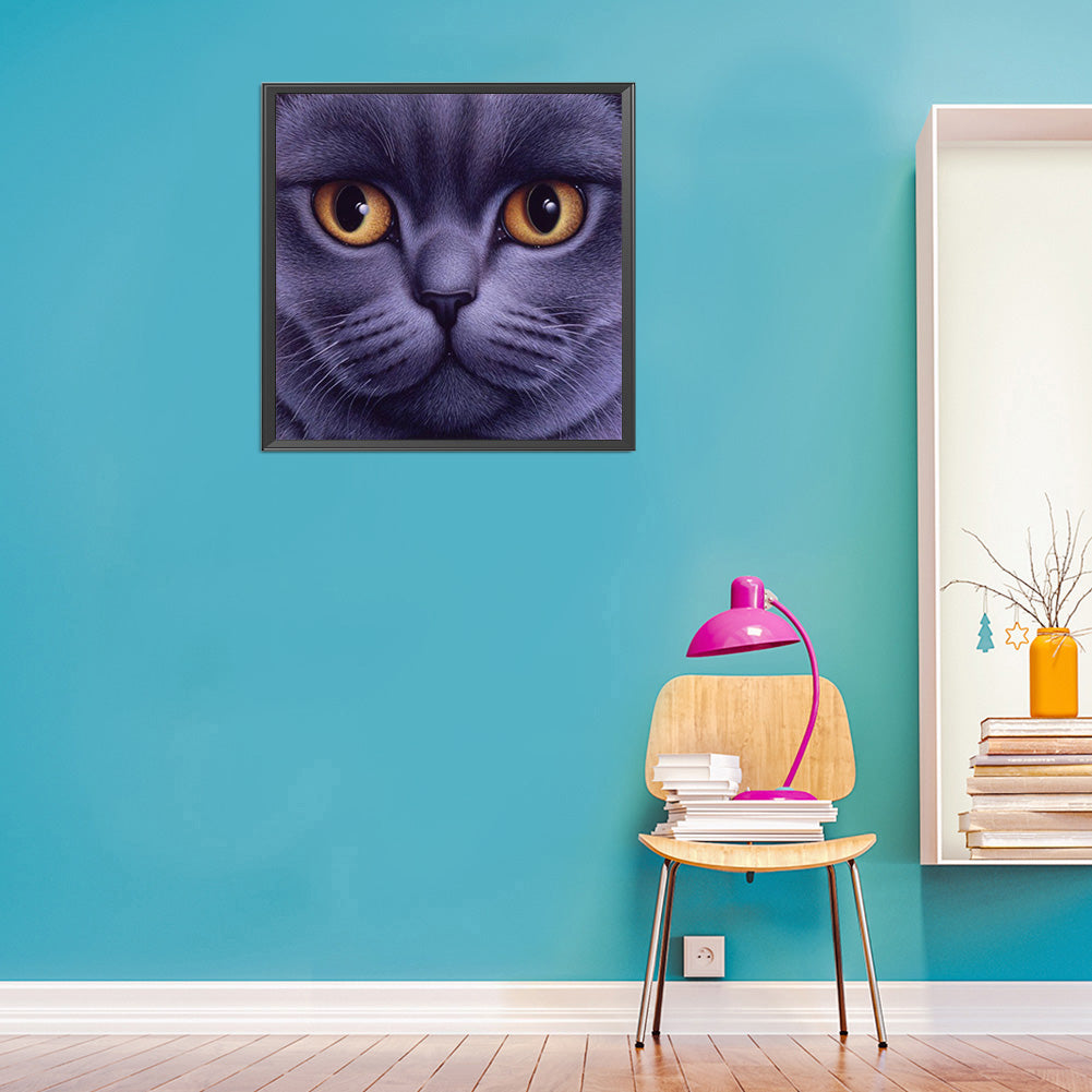 Big Face Cat - Full Round Drill Diamond Painting 30*30CM