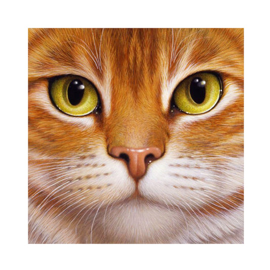 Big Face Cat - Full Round Drill Diamond Painting 30*30CM