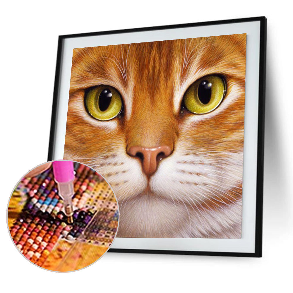 Big Face Cat - Full Round Drill Diamond Painting 30*30CM