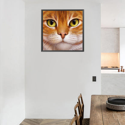 Big Face Cat - Full Round Drill Diamond Painting 30*30CM