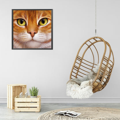 Big Face Cat - Full Round Drill Diamond Painting 30*30CM