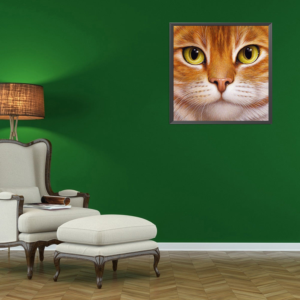 Big Face Cat - Full Round Drill Diamond Painting 30*30CM