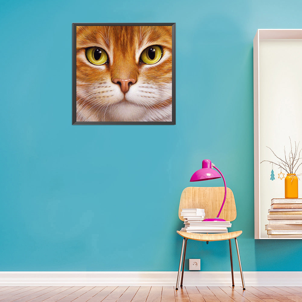 Big Face Cat - Full Round Drill Diamond Painting 30*30CM