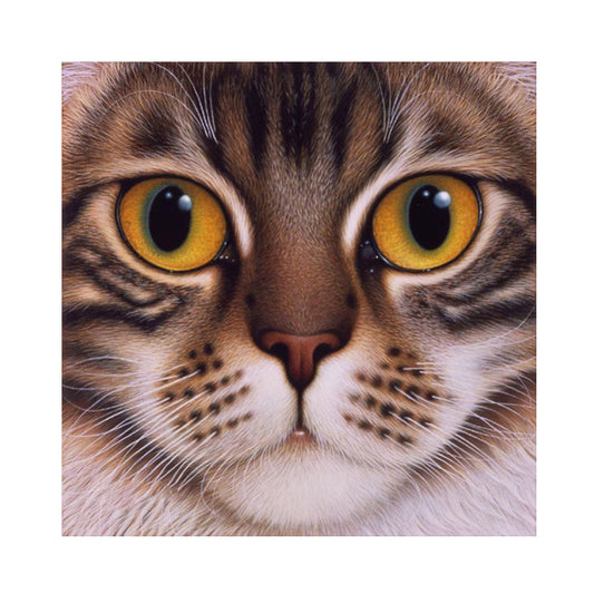 Big Face Cat - Full Round Drill Diamond Painting 30*30CM