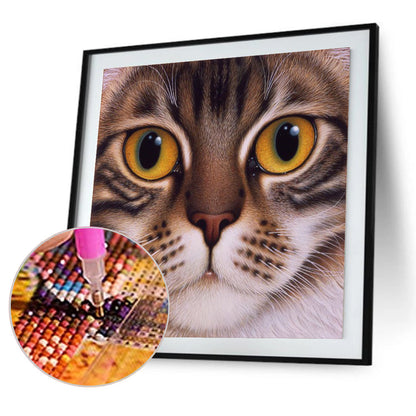 Big Face Cat - Full Round Drill Diamond Painting 30*30CM