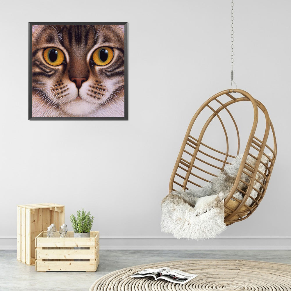 Big Face Cat - Full Round Drill Diamond Painting 30*30CM